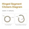 hinged-segment-clicker-diagram_4_33 Double Hoop, One with Twisted Design, Side Facing Hinged Segment Clicker