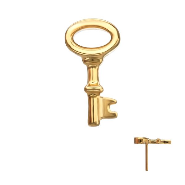 tip24ktlskey2 24Kt Gold PVD Titanium Threadless Key Top