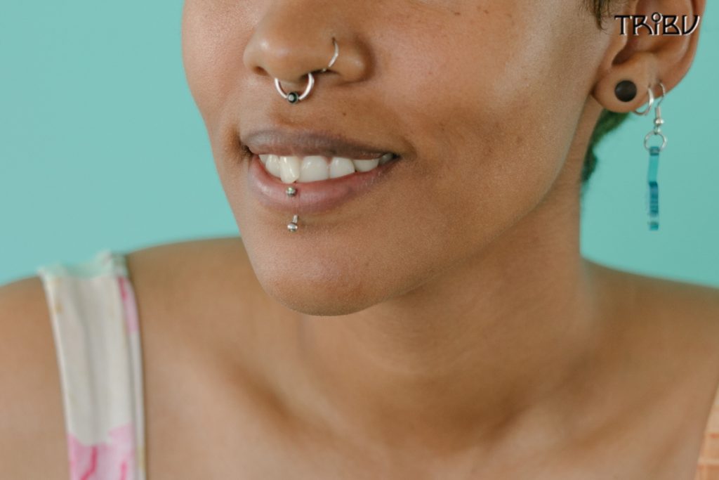 Facial Piercing Jewelry Including Septum and Lip Ring